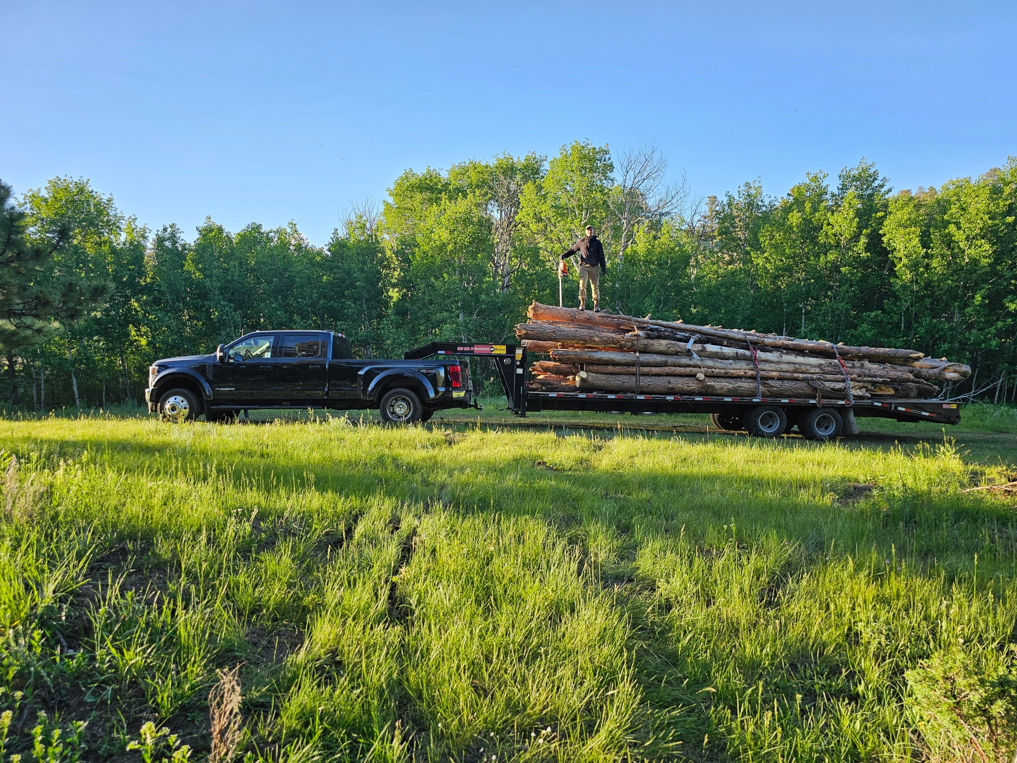 Frontier Forestry gallery 3
